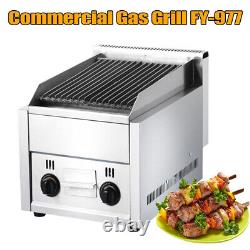 Commercial 2 Burner Gas BBQ Grill Stainless Steel LPG Gas Steak Beefer Broiler
