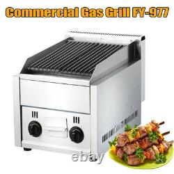 Commercial 2 Burner Gas BBQ Grill Stainless Steel LPG Gas Steak Beefer Broiler