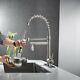 Eyekepper Single Handle Pull Down Kitchen Sink Faucet Commercial Style Pre-rinse